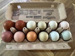 farm fresh eggs