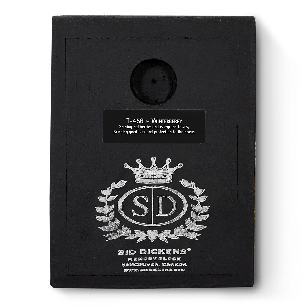 Miniatura: T-456 WINTERBRRY SID DICKENS MEMORY BLOCKS