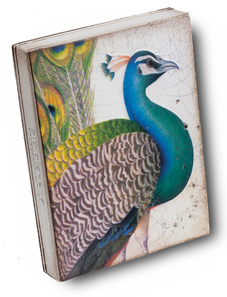 T-287 FABLED BIRD SID DICKENS MEMORY BLOCK