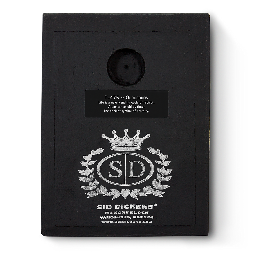 Miniatura: T-475 OUROBOROS SID DICKENS MEMORY BLOCK