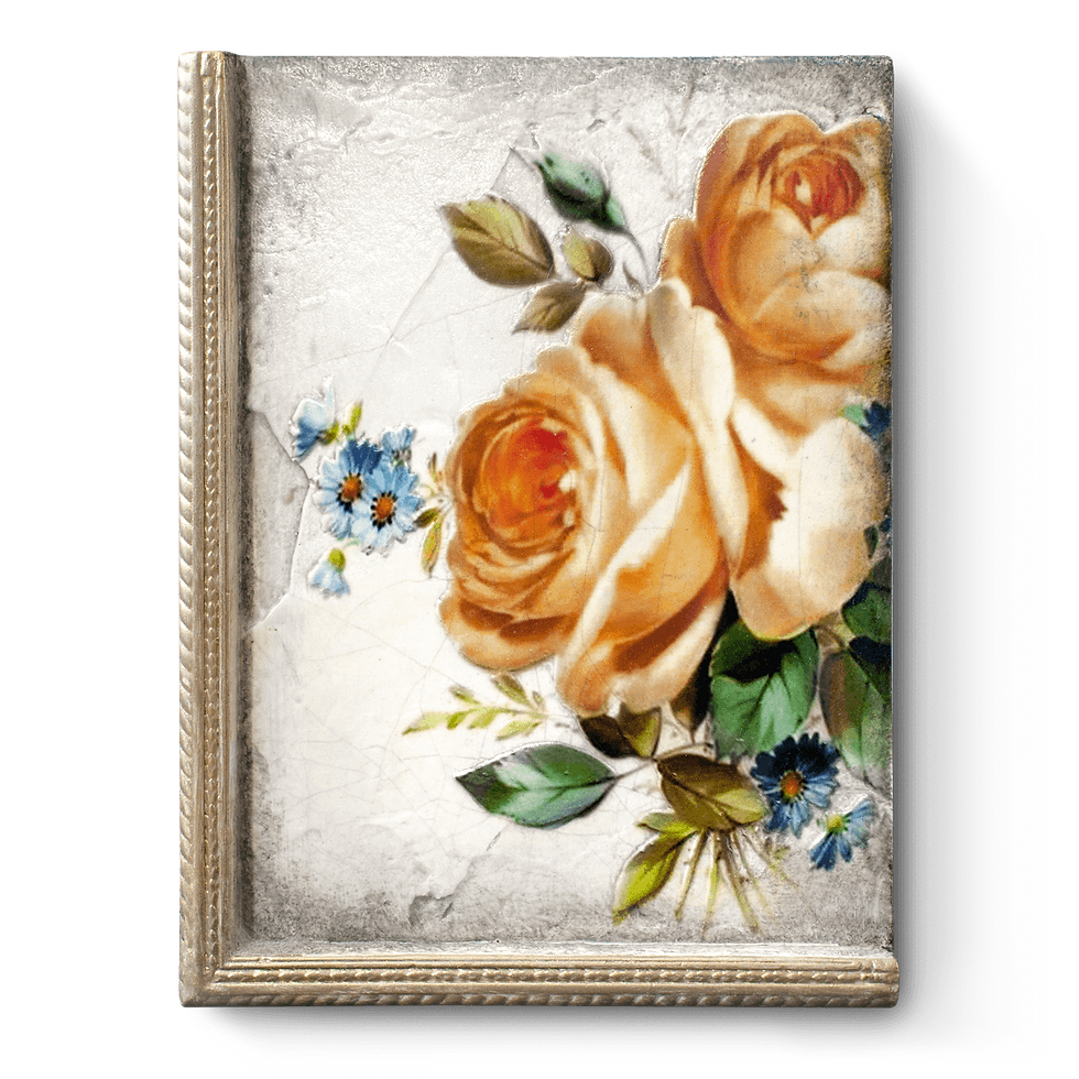 T-521 SUNSET ROSE L'espressione d'amore della natura, fiorisce senza rivali e senza vincoli.