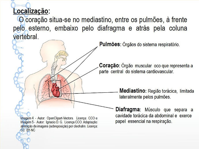 slide 44.jpg