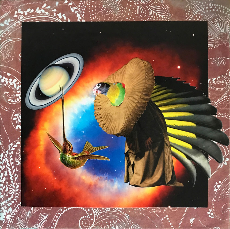 L'Oiseau Tête Brûlée