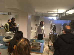 Rhodolive project meets at olive harvesting in Turkey