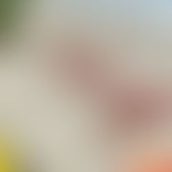 Formatura em Matinhos