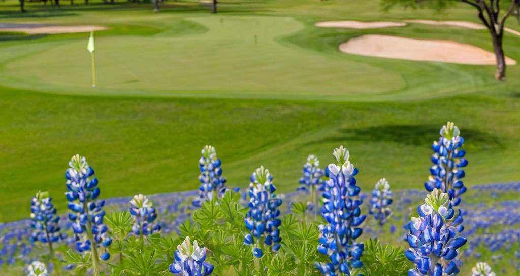 bluebonnets and golf course.jpg