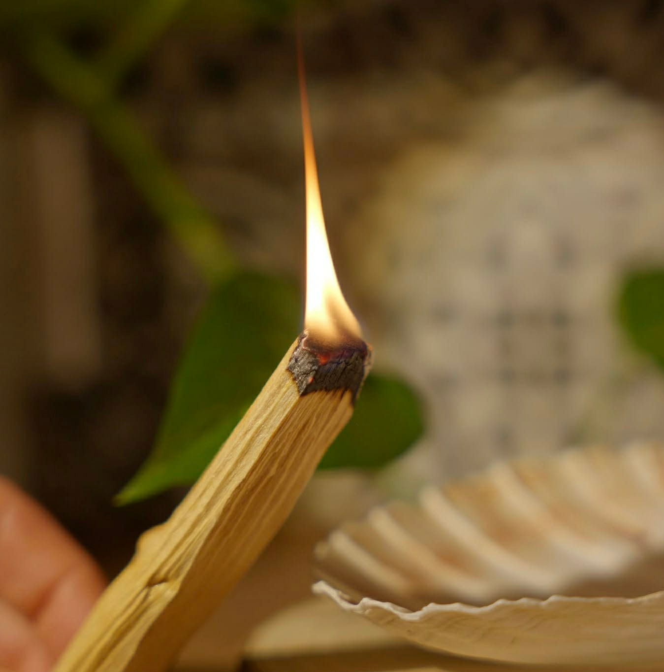 Palo Santo (certifié SERFOR*) - Sphère Céleste