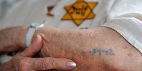 Sobrevivente do Holocausto