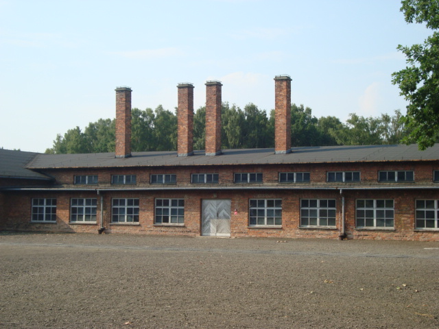 Auschwitz- Birkenau