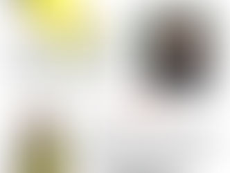 Spotlight on Volunteers