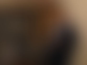 James Mountain's Voting History: Transparency in Action