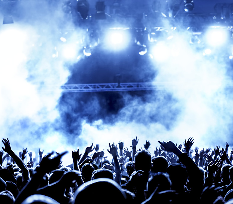 At the Concert