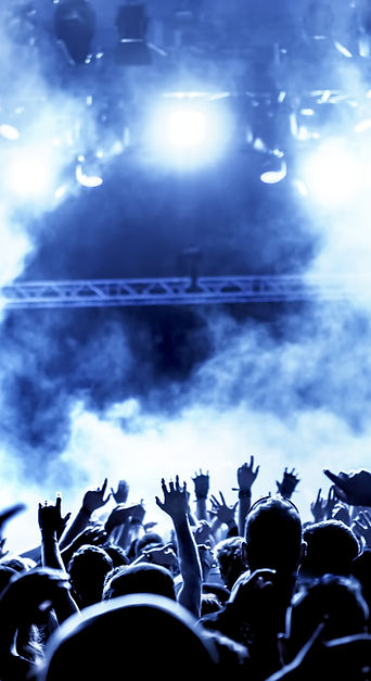 At the Concert