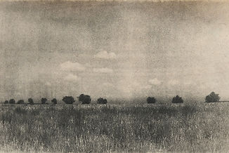 a field with trees in the distance. Photograph by Antoni Benavente