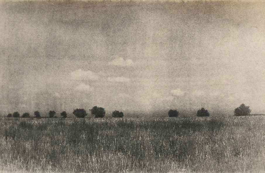a field with trees in the distance. Photograph by Antoni Benavente