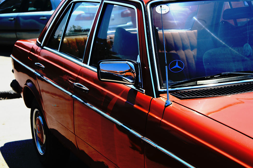 smallerDSC_2169 copy.jpg