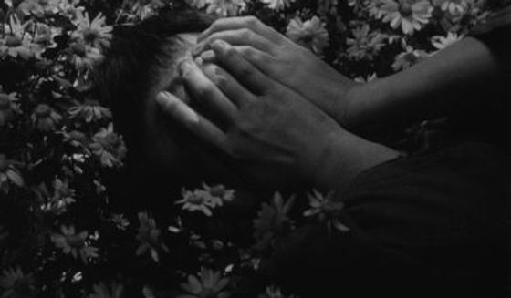 A closeup of a woman laying in a flower field with white flowers. She is seen from the chest up, lying diagonally, with her hand covering her face, in a black and white shot from Kurosawa's cult film Seven Samurai.