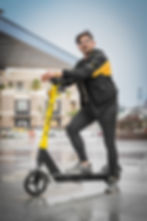 التعامل مع إدارة البيانات