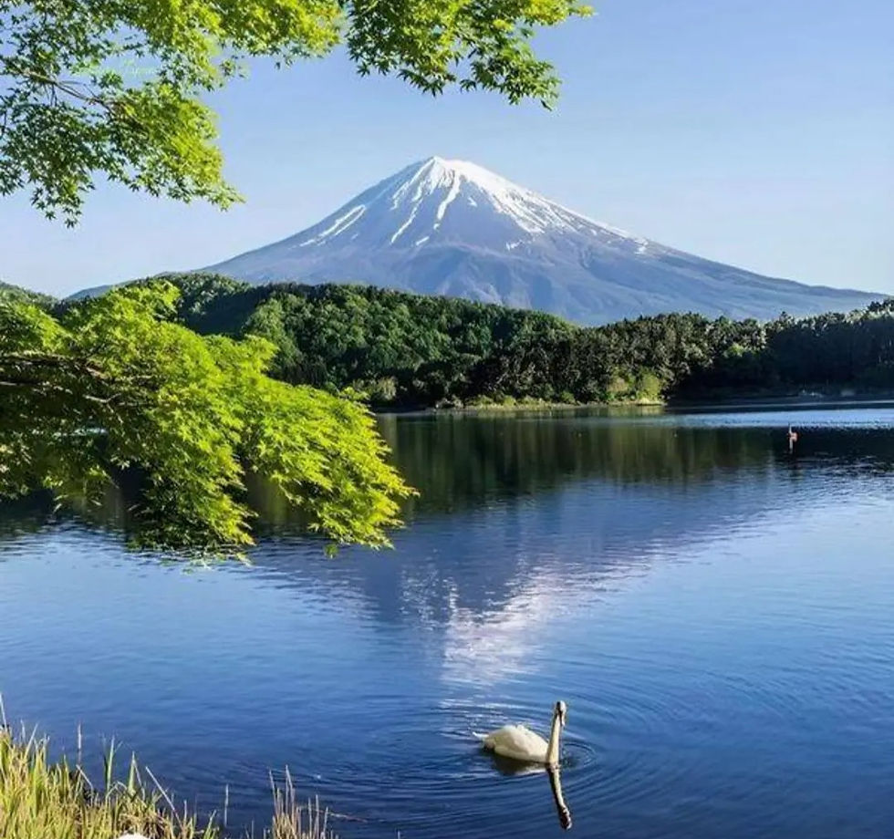 海外生活で感じる孤独や疲れをイメージした静かな日本の風景