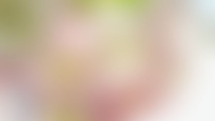 淡いピンクの八重桜が青空に向かって咲いている様子