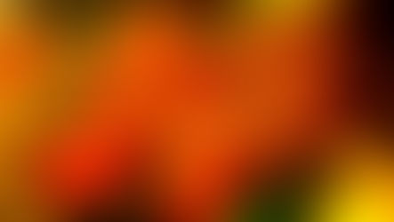 国際結婚のリアル (Part 1)：イギリス生活と離婚裁判から学んだこと 