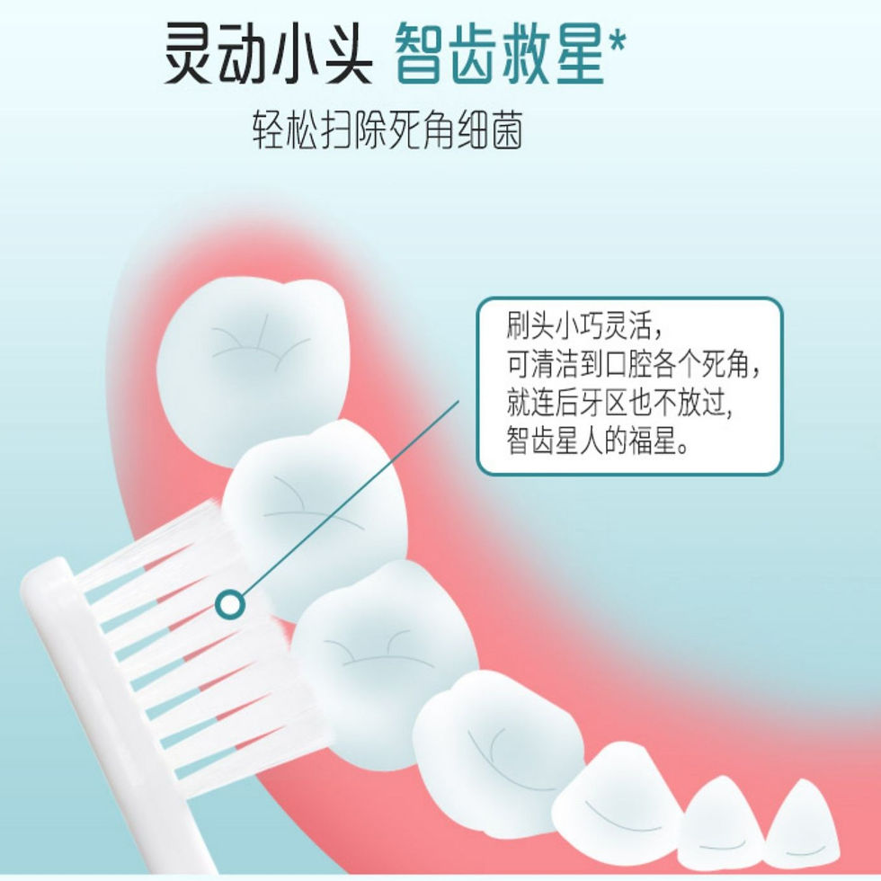 縮圖：LION 狮王 细齿洁四列标准超细毛牙刷 A21标准 颜色随机 1件入 Systema Toothbrush Regular 4 Rows A21 1pcs