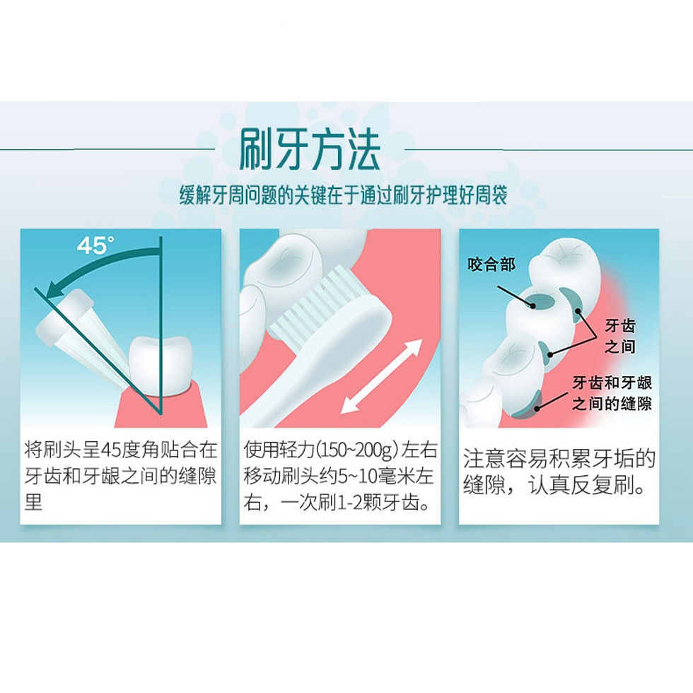 縮圖：LION 狮王 细齿洁四列标准超细毛牙刷 A21标准 颜色随机 1件入 Systema Toothbrush Regular 4 Rows A21 1pcs