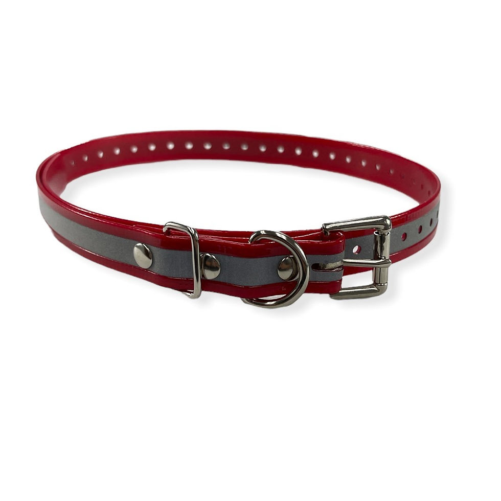 Thumbnail: 3/4" Biothane Reflective  Collar w/ Buckle