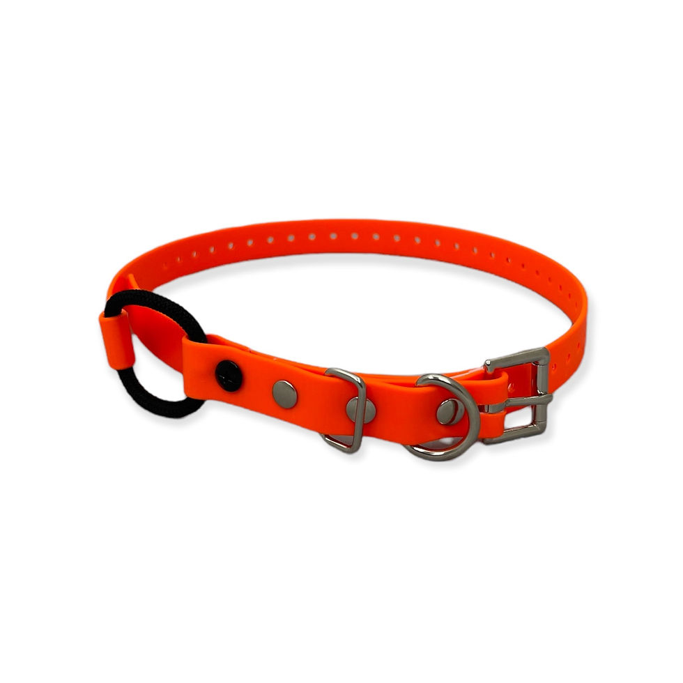 Thumbnail: Bungee Biothane Collar (33″ Length)