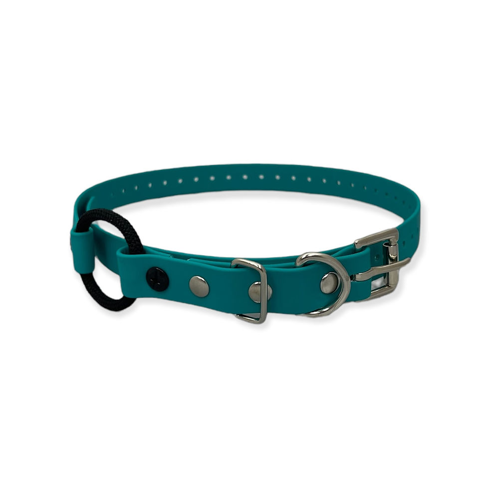 Thumbnail: Bungee Biothane Collar (33″ Length)