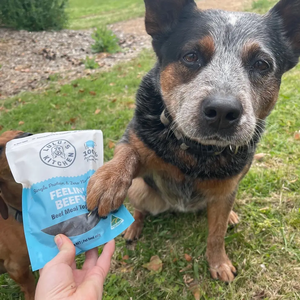 Thumbnail: Feelin' Beefy (Beef Meal Topper & Enhancer)