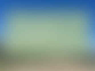 How Teams Find Clarity, Connection, and Momentum Through Facilitation and Strategic Planning