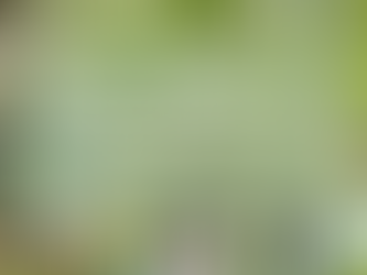 A Winter Solstice Reflection on Leadership, Letting Go & Collective Renewal