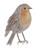 Rouge gorge transparent_edited_edited.png