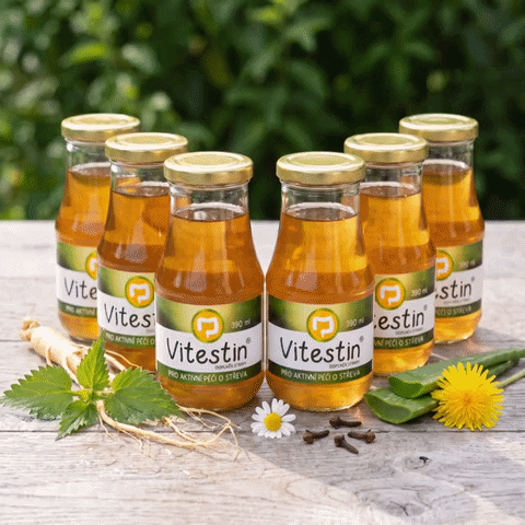 Startovací balíček 6 x Vitestin® - kúra na 6 dní - pro střeva a zažívání