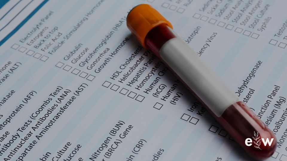 Is Your Immune System Failing You? Understanding Blood Test Ranges, Functional Markers & Immune Imbalance