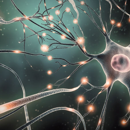 Glowing neurons with branching axons and pink nuclei connect in a dark teal neural network, suggesting brain activity.