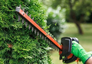 service-hedge-trimming.jpg
