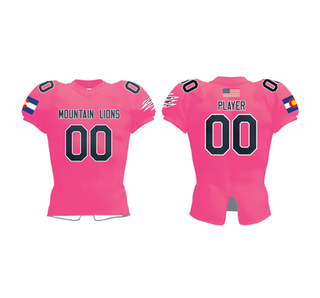 Football Portfolio 9.1@3x.png