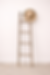 35F90A4F-3360-4891-B47C-ACE58EB13C1E.PNG