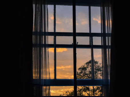 Mornings of a Perfect Delusion