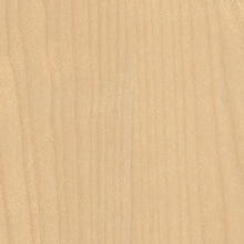 White Birch.png