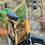 Thumbnail: Ligtasin Cove 2.1 Beach Cruiser