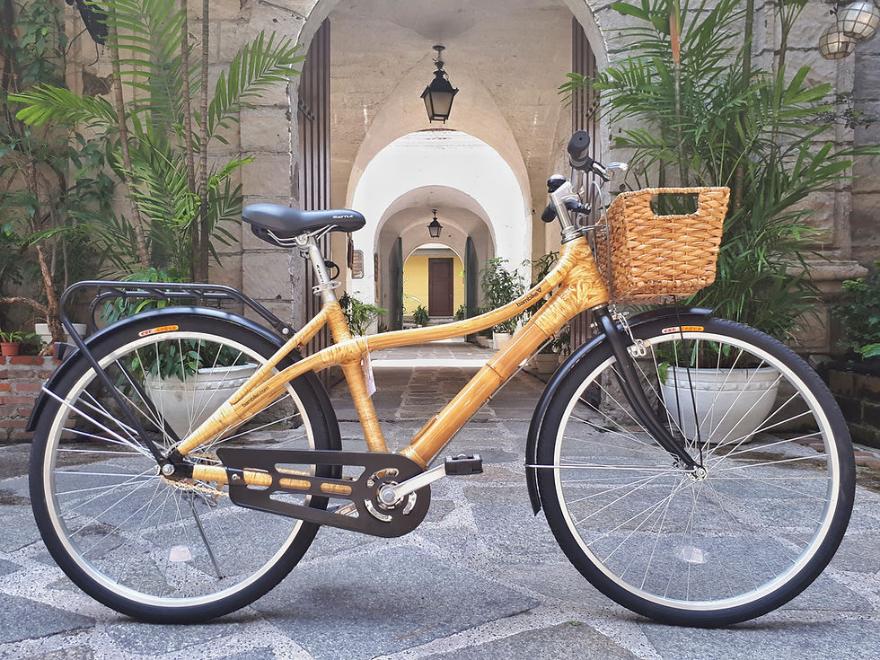 Victoria 2.1 Bambike