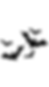 2.png