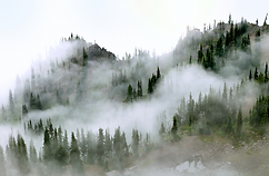 Untitled design (13).png