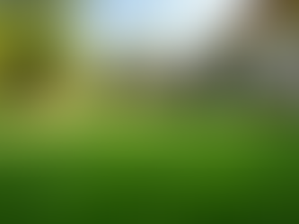 Achieve a Perfect Lawn with Synthetic Turf Installation