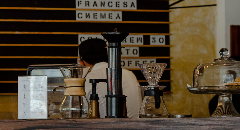 cafeteria en merida yucatan v60 chemex prensa francesa cafe en merida
