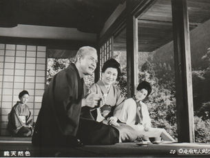 瘋癲老人日記