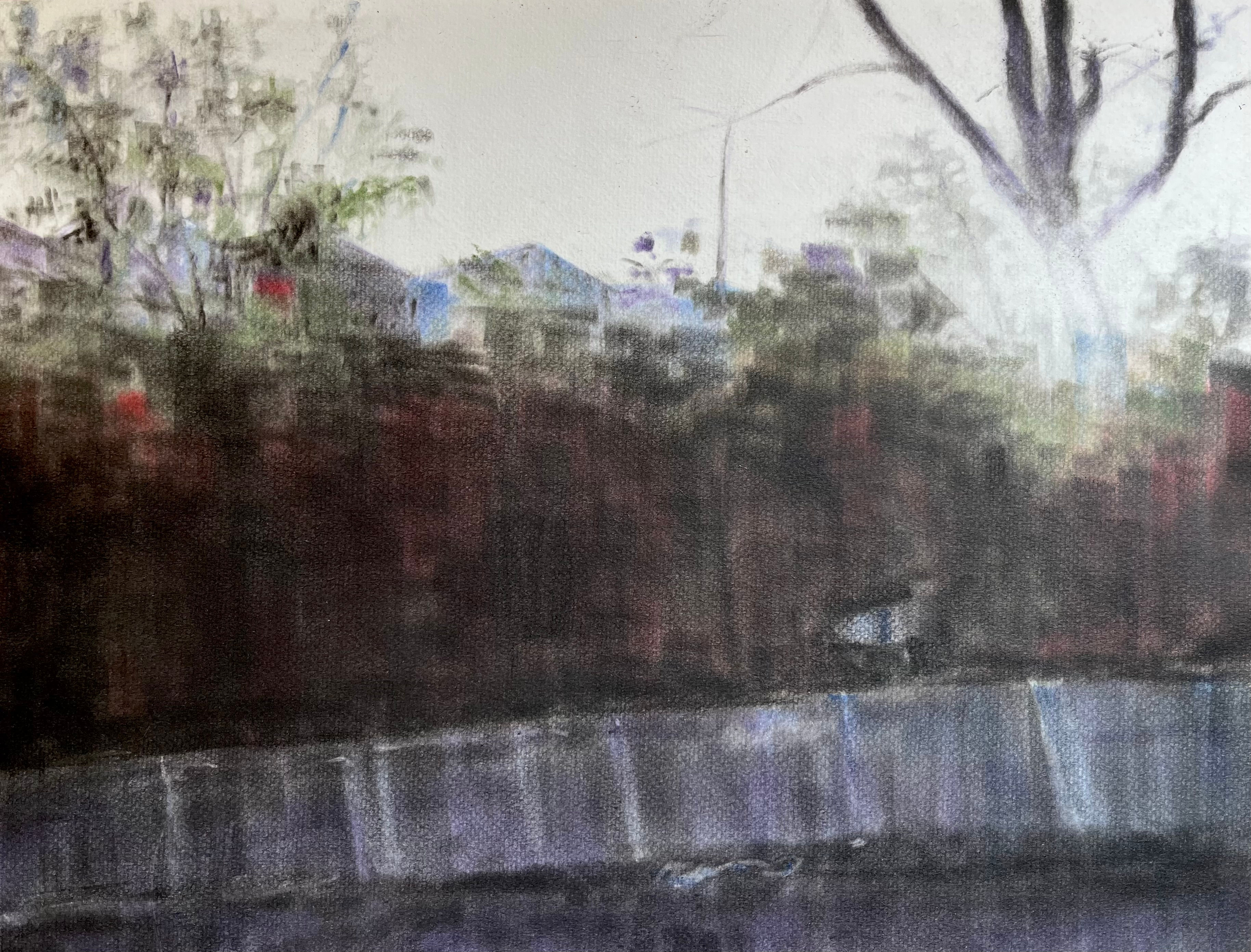 רעי רביב | נוף